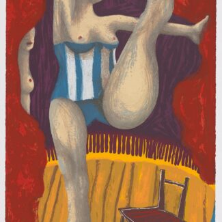serigrafia de Ana Juan