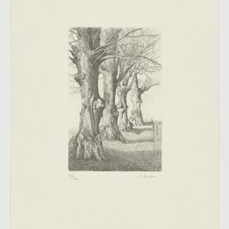 etching_contemporary_art_venta_online_regala_arte