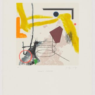 Litografía_Joaquín_capa_colores_flotando_Arte_contemporaneo