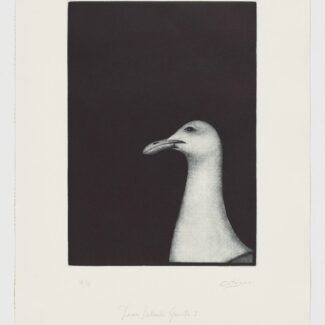 Juan Salvador Gaviota