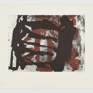 La caída de un ángel (X)