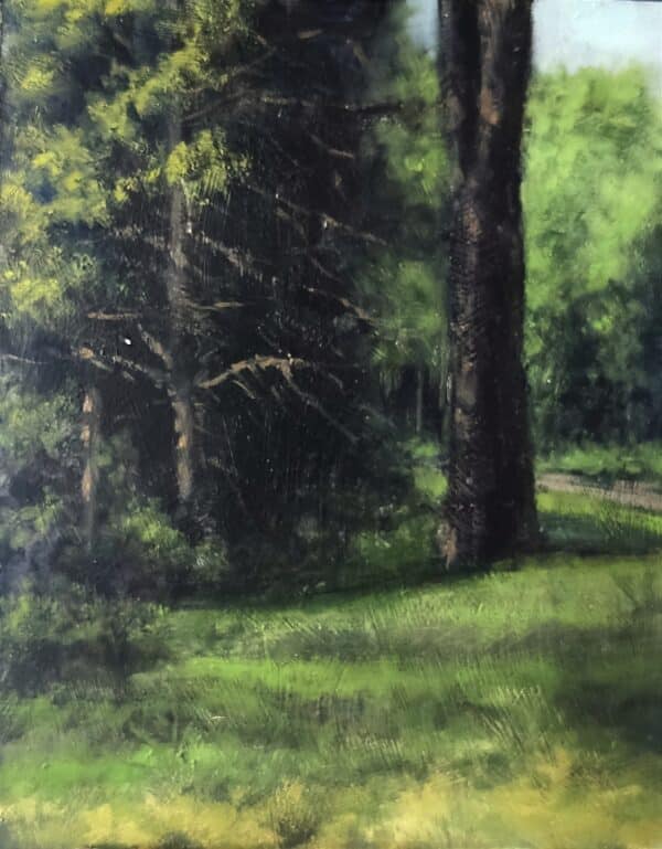 Bosque en Gredos