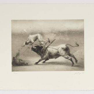 La cogida, de Eduardo Naranjo