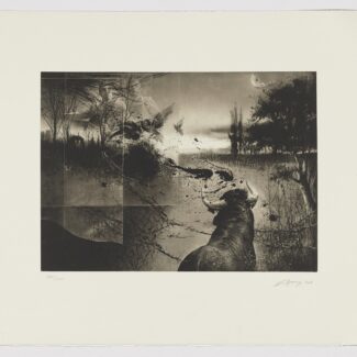 serie tauromaquia de Eduardo Naranjo