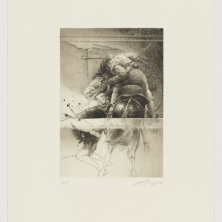 El picador, 2008, Eduardo Naranjo