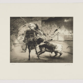 El picador, 2008, Eduardo Naranjo