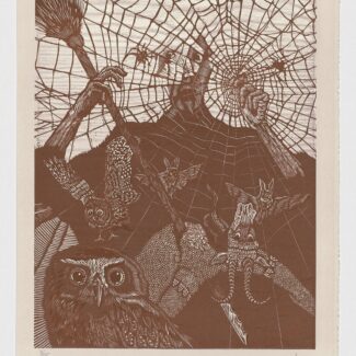 El Testamento de Don Quijote VII