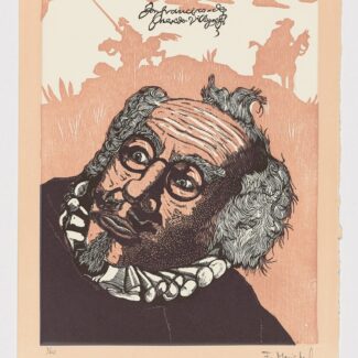 El Testamento de Don Quijote XI