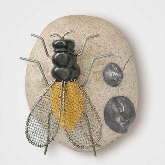 Mosca y piedra Laciano